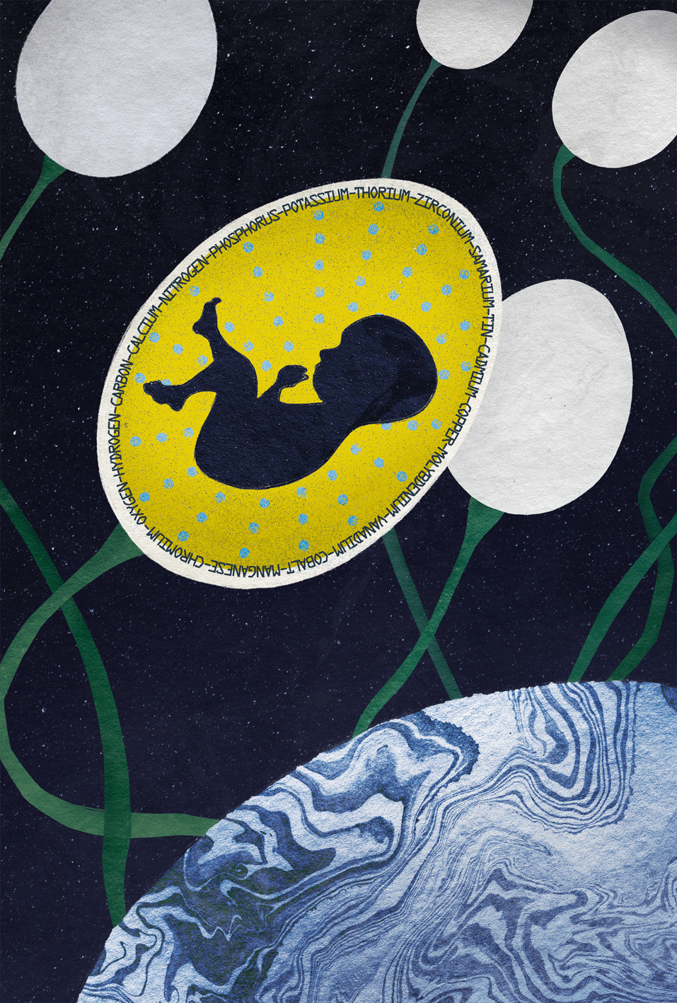 Animated illustration for The Body