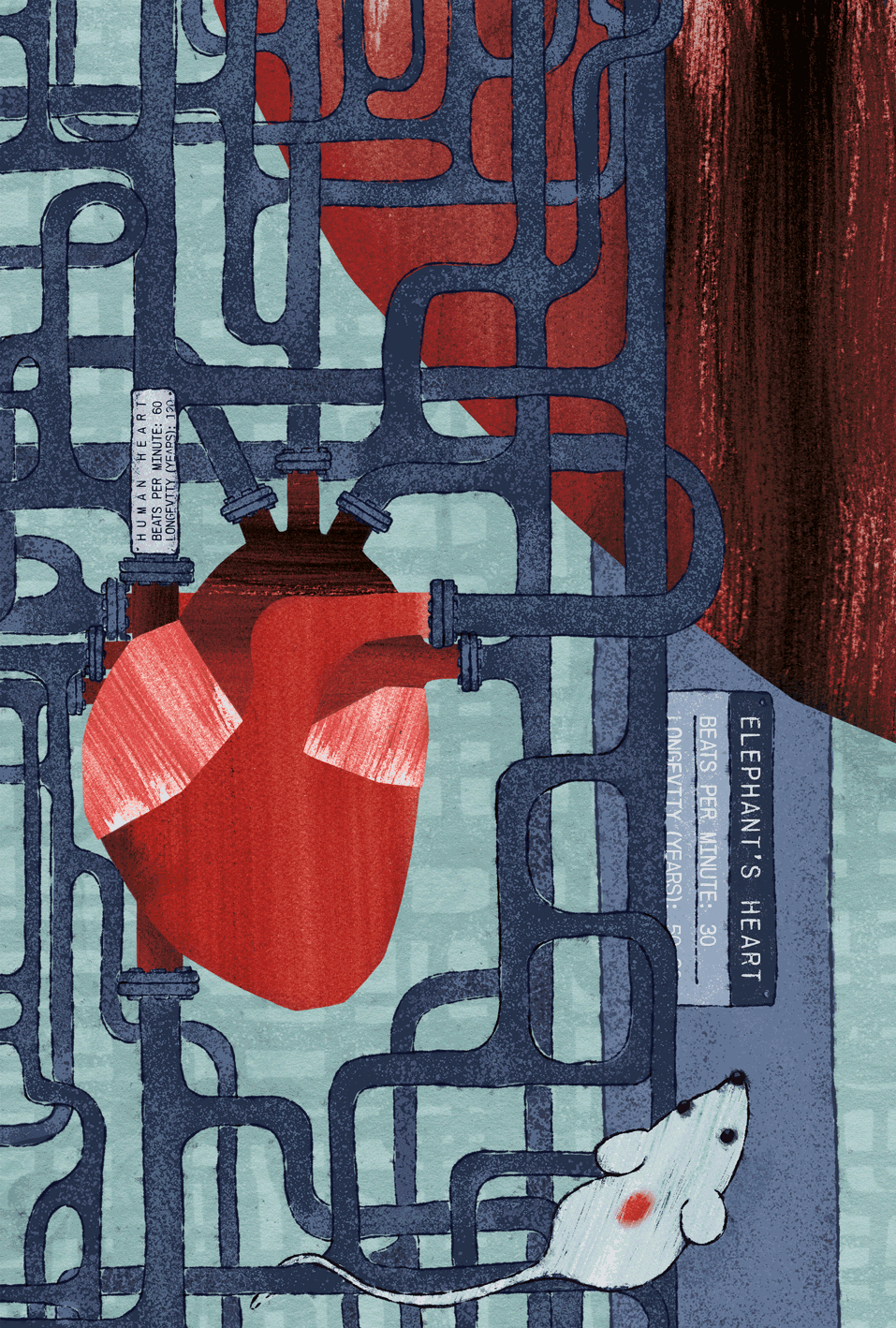 Animated illustration for The Body