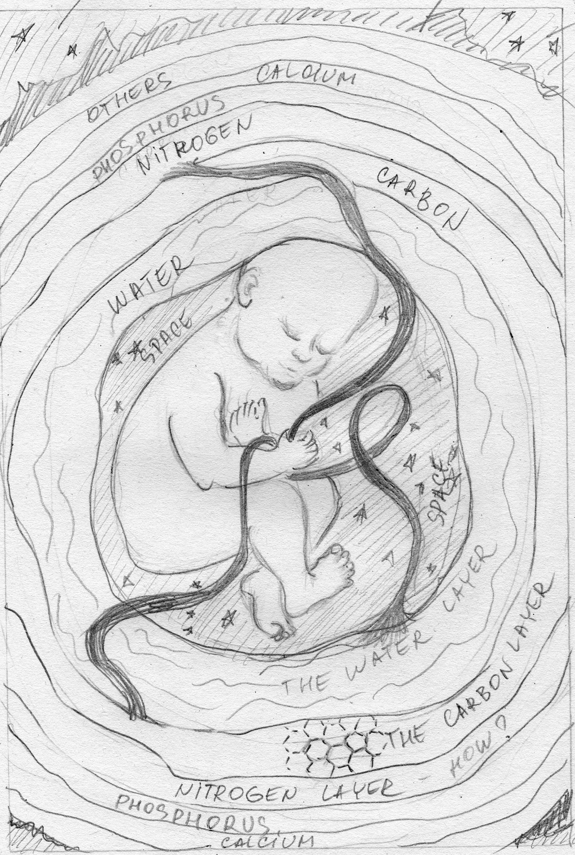 How to Build a Human